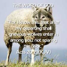 Grievous Wolves of Acts 20 verse 29