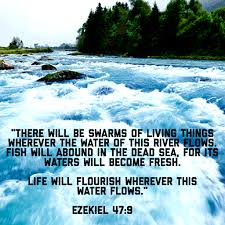 Ezekiel 47 -- 9 River of Life coming from the Millennium Temple in Jerusalem