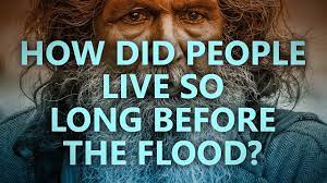 How Did People Live So Long Before The Flood