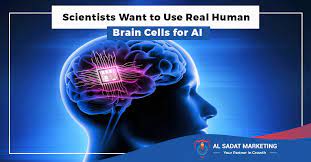 Al Sadat Marketing -- Scientists Want to use Real Human Brain Cellls for AI