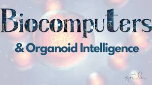 LinkedIn -- Biocomputers &amp; Organoid Intelligence